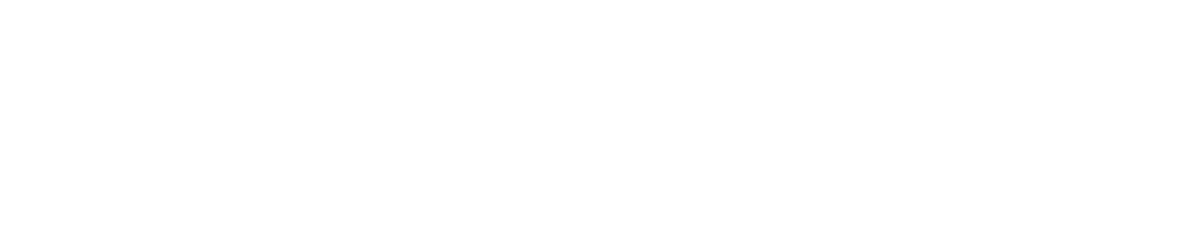 logo of the project